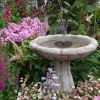 Solar Powered Birdbath to Water Fountain