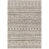 5 ft. x 8 ft. Black & Off-White Chevron Indoor/Outdoor Rug