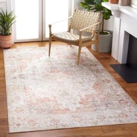 5 Ft x 8 Ft Traditional Persian Style Washable Boho Light Grey Red Area Rug