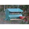 Rugged Green Metal Squirrel Proof Bird Feeder with Easy Refill Top