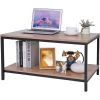 Modern 2-Tier Metal & Wood Coffee Table with Storage Shelf