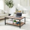Modern 2-Tier Metal & Wood Coffee Table with Storage Shelf