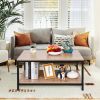 Modern 2-Tier Metal & Wood Coffee Table with Storage Shelf