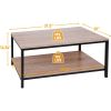 Modern 2-Tier Metal & Wood Coffee Table with Storage Shelf