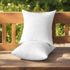 Throw Pillows, White, 2pack (Option: 20)