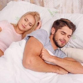 King Sized Bamboo Memory Foam Pillow (Option: White)